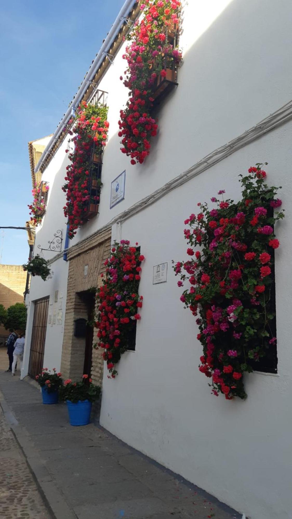 El Rincon De Jesus Y Loli Daire Cordoba Dış mekan fotoğraf